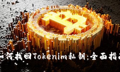 如何找回Tokenim私钥：全面指南