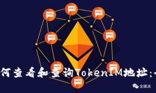 优质 如何查看和查询TokenIM地址：全面指南