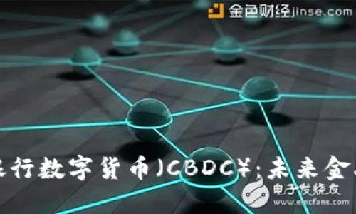 全面解读中央银行数字货币（CBDC）：未来金融的趋势与挑战