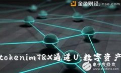 : 深入探讨tokenimTRX通道U：数字资产交易新选择